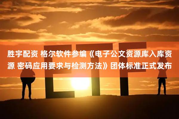 胜宇配资 格尔软件参编《电子公文资源库入库资源 密码应用要求与检测方法》团体标准正式发布